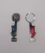 для iPhone 7 / 7 Plus / 8 / 8 Plus - шлейф кнопки Home  "Active" БЕЗ Touch iD белый